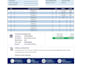 design a professional excel invoice template with automation